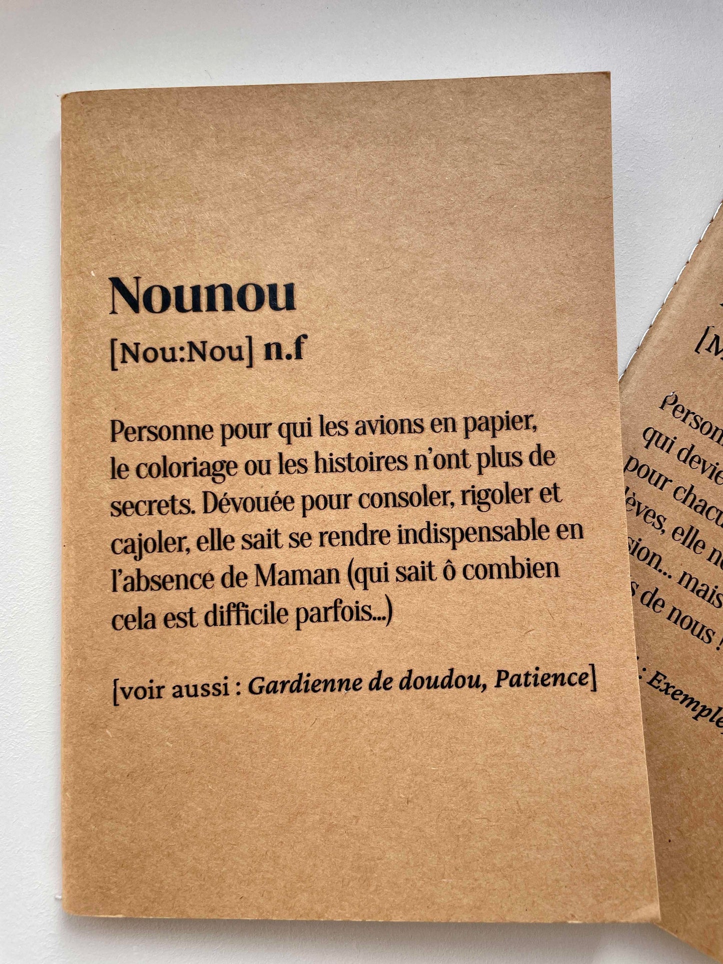 Carnet Nounou